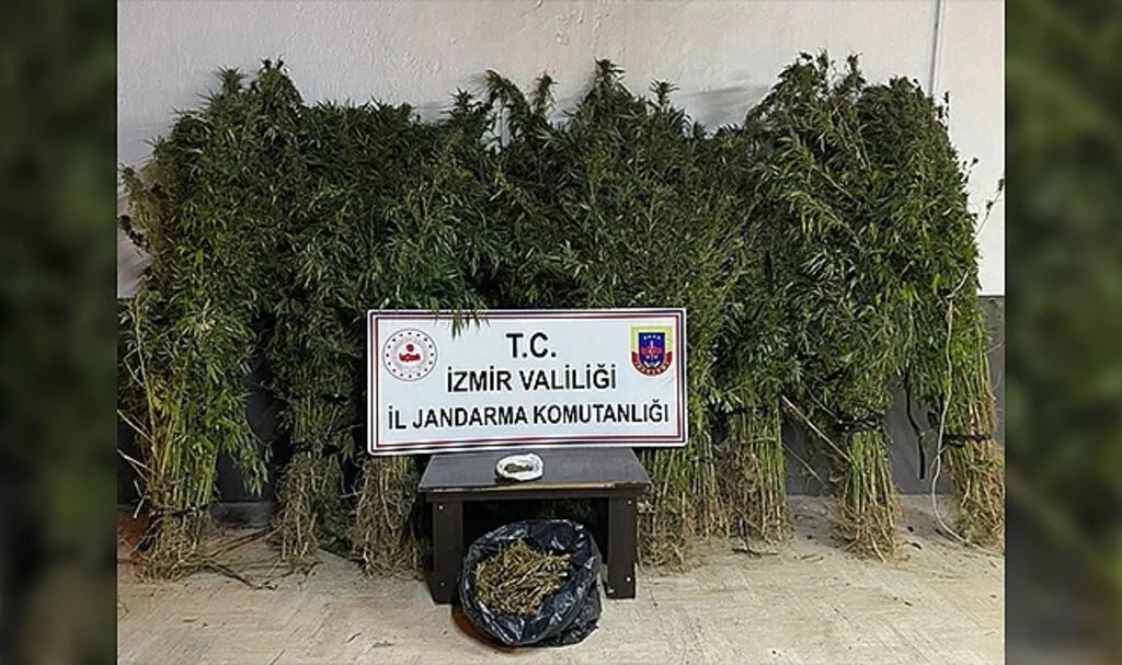 İzmir'in 4 ilçesinde zehir baskını: 14 gözaltı