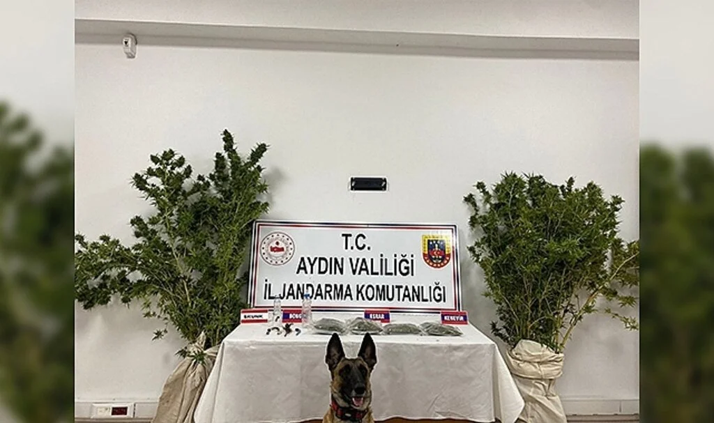 Jandarma ekiplerinden uyuşturucu operasyonu: 1 tutuklama