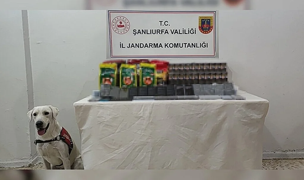 Jandarma köpeği kaçakçılığa geçit vermedi