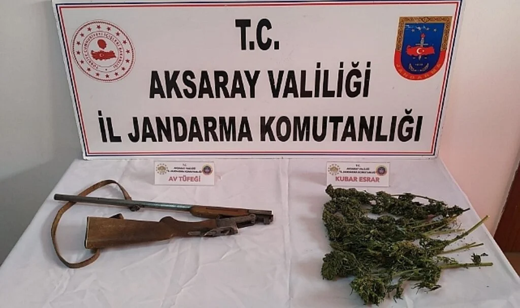 Jandarma odunlukta esrar ve tüfek ele geçirdi