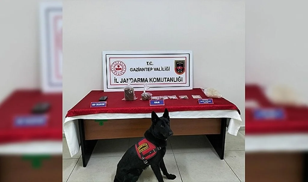Jandarmadan dev operasyon: 57 gözaltı