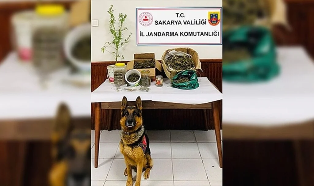 Jandarmadan uyuşturucu operasyonu: 1 gözaltı