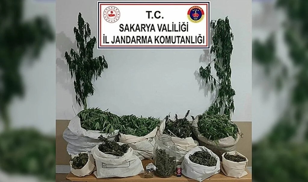 Jandarmadan uyuşturucu operasyonu: 3 gözaltı