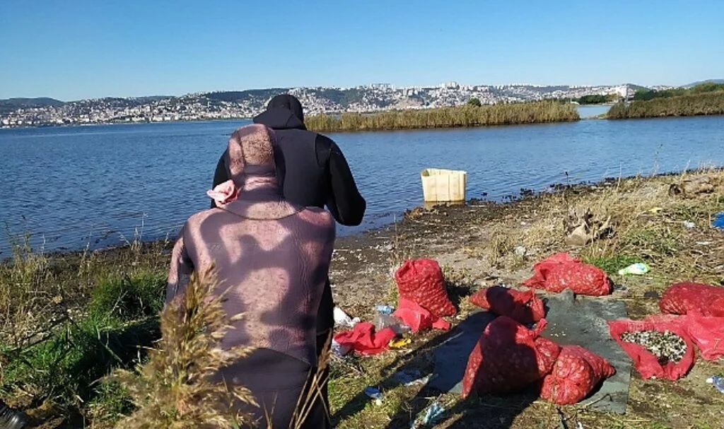 Kaçak midyecilere deniz polisi baskını: 5 midyeciye ceza kesildi