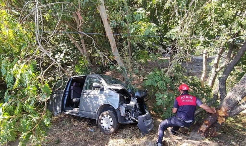 Kamyonet şarampole devrildi: 1 yaralı