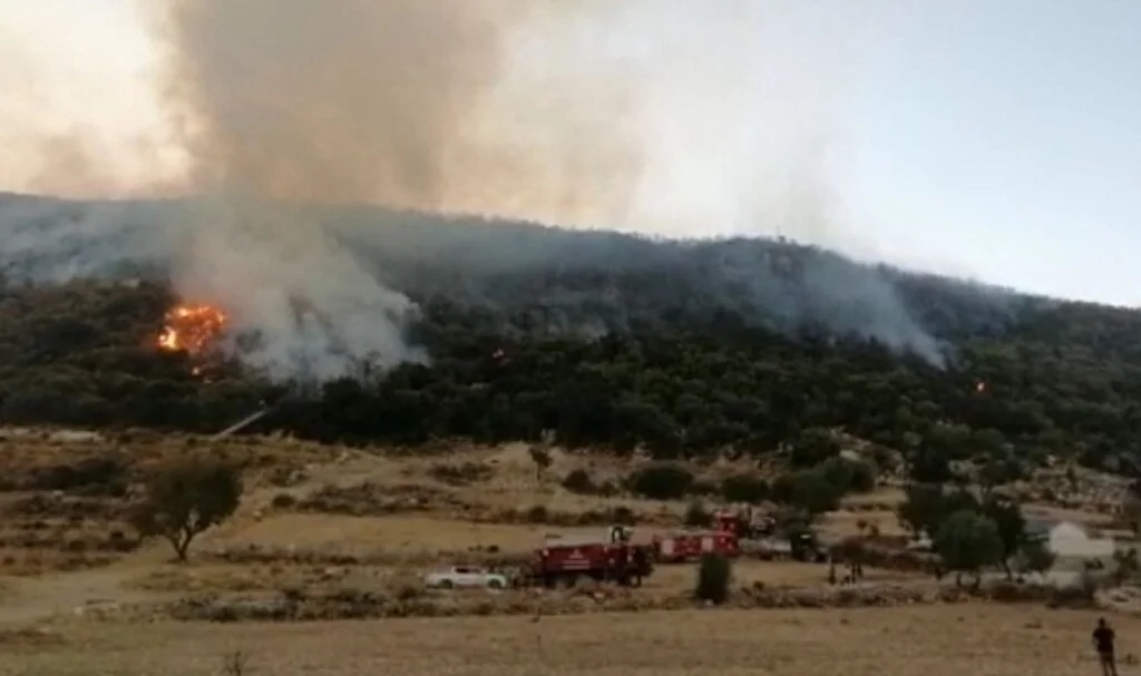 Kaş’ta orman yangını kontrol altına alındı