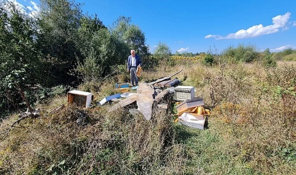 Kastamonu’da ayılar arı kovanlarını parçaladı