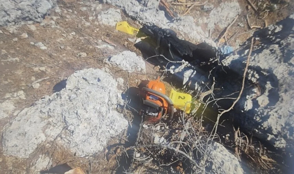 Kestiği ağacın altında kalarak hayatını kaybetti