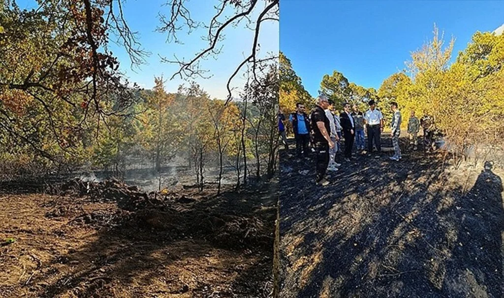Kırklareli’nde orman yangını: 4 hektar alan zarar gördü