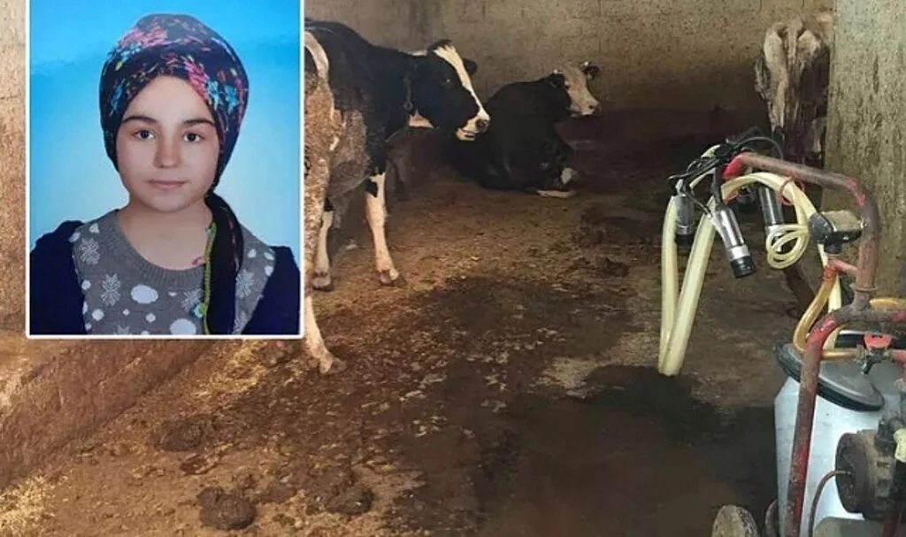 Kız çocuğu ahırda feci şekilde can verdi! Çığlıklarına uyandılar