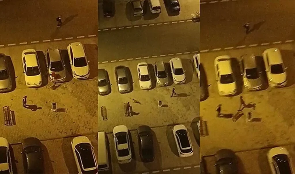 Köpeği çocukların üstüne saldı, korkan çocuk otomobilin üstüne çıktı