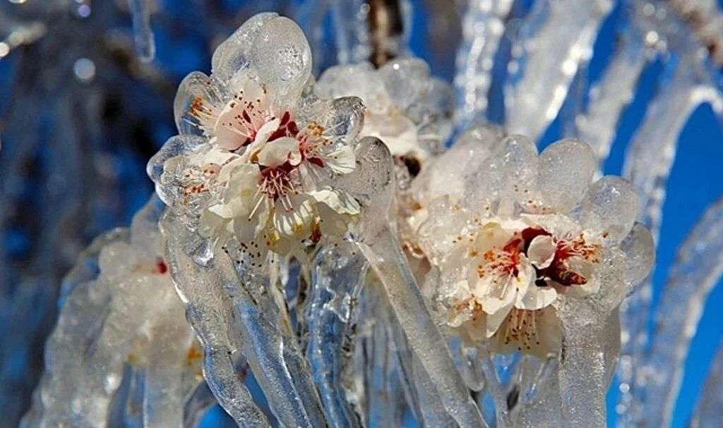Meteoroloji'den 3 ile uyarı! Sabah saatlerine dikkat