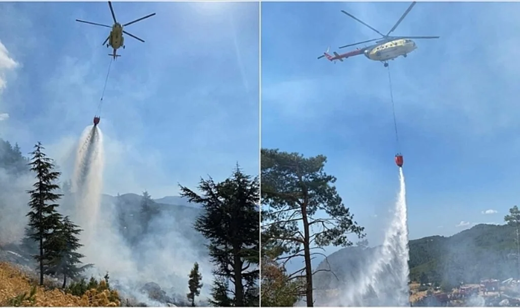 Muğla'da çıkan orman yangını söndürüldü