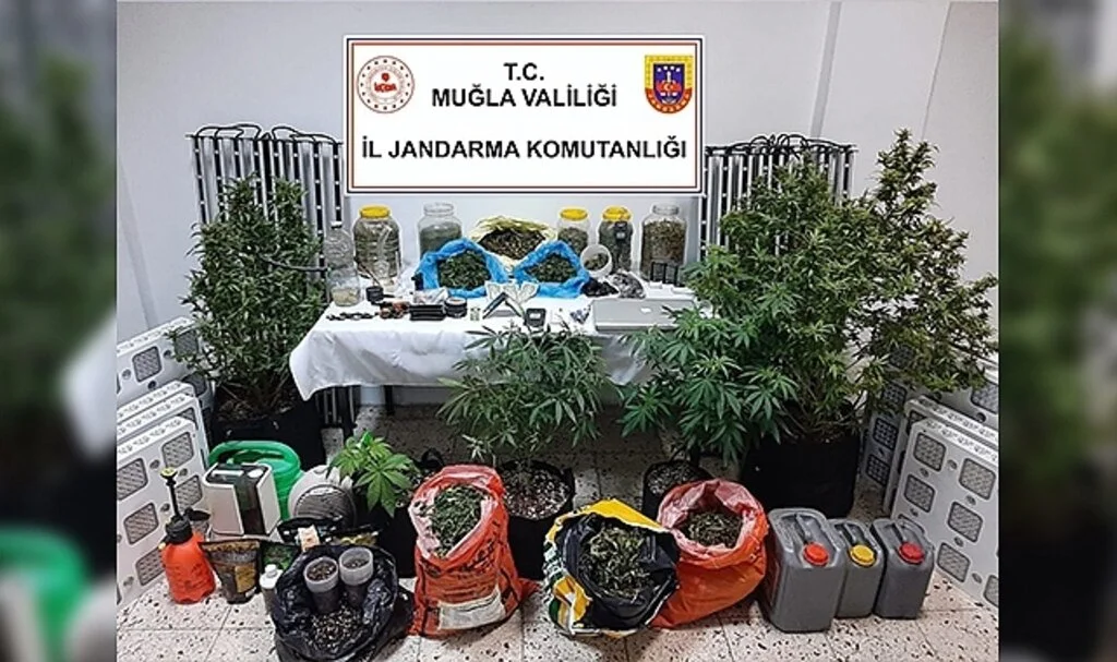 Muğla’da uyuşturucu operasyonu
