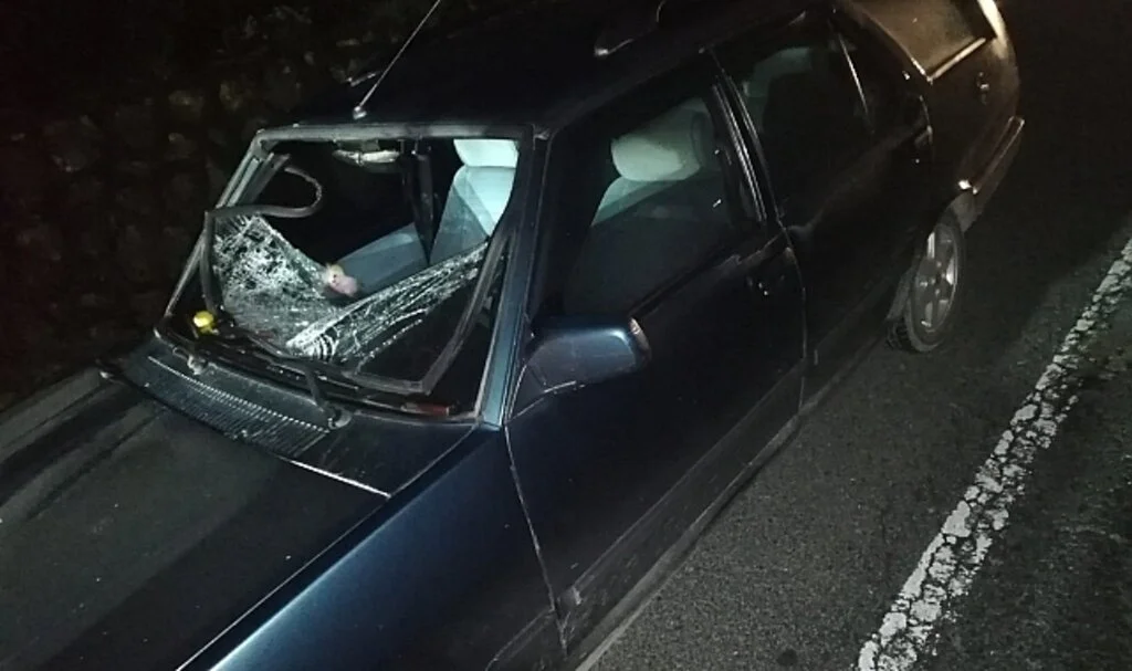 Ordu’da otomobilin çarptığı yaya hayatını kaybetti