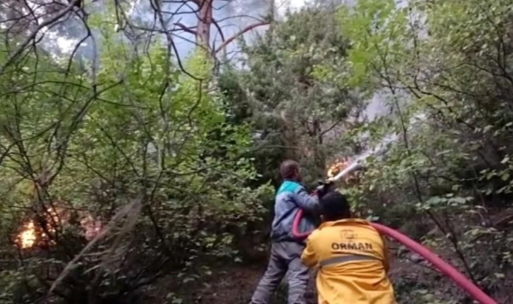 Osmaniye’deki orman yangınına karadan müdahale başladı