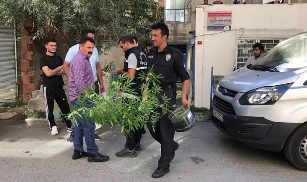Pendik'te 25 yaşındaki genç, kenevir yetiştirilen evde ölü bulundu
