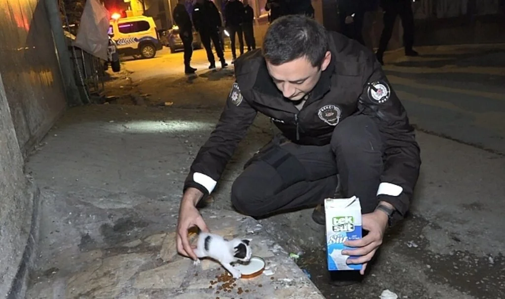 Polislerin "hırsız var" diye tırmandıkları evden yavru kedi çıktı