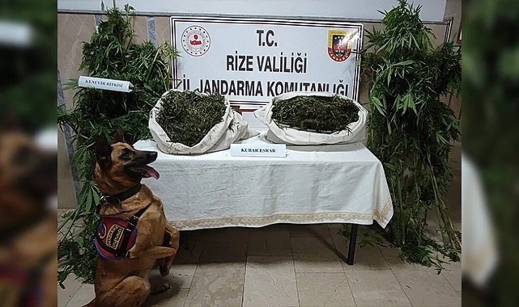 Rize'de jandarmadan uyuşturucu operasyonu