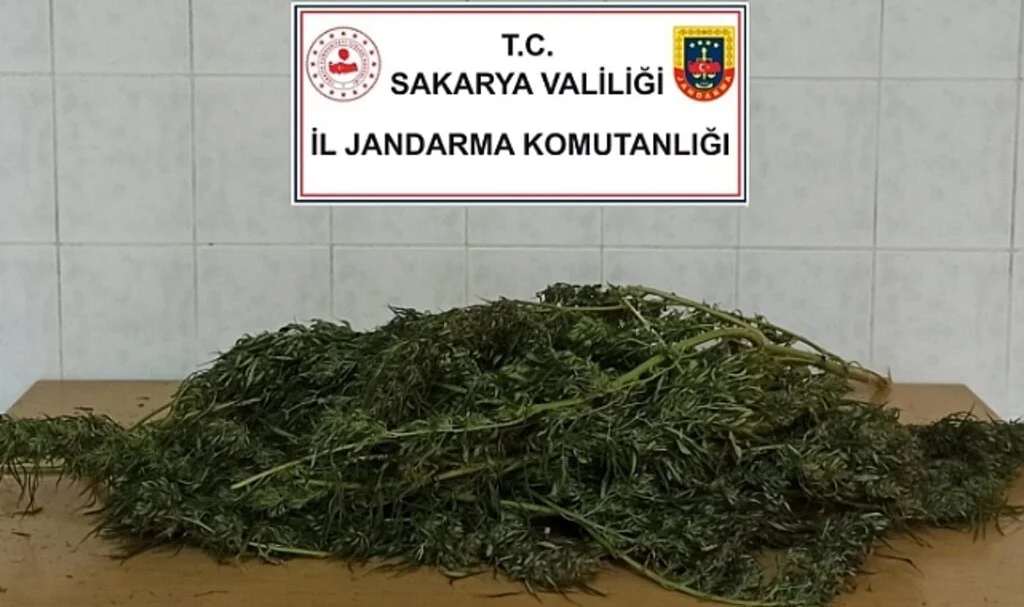 Sakarya’da 3 kilo 500 gram esrar ele geçirildi: 1 gözaltı