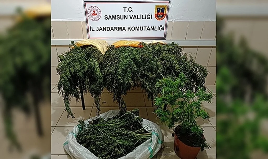 Samsun'da 15 kilo kubar esrar ele geçirildi