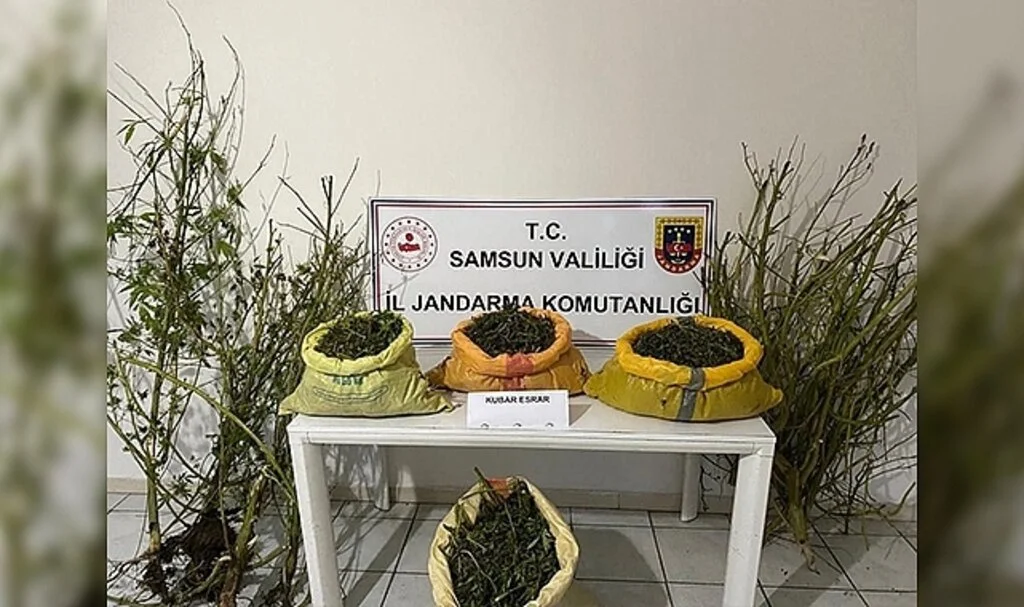 Samsun'da 25 kilo 750 gram kubar esrar ele geçirildi