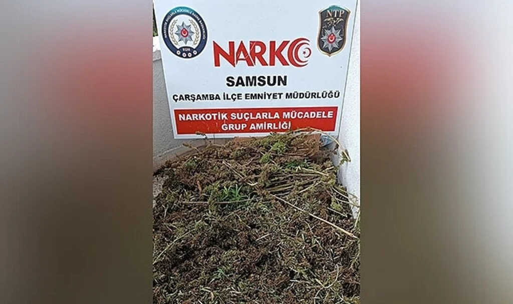 Samsun'da 9 kilo 975 gram esrar ele geçirildi: 8 gözaltı