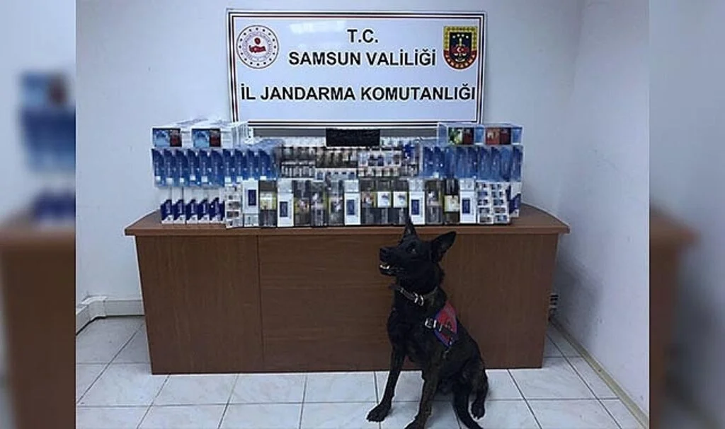 Samsun'da araçta 60 bin dal makaron ele geçirildi