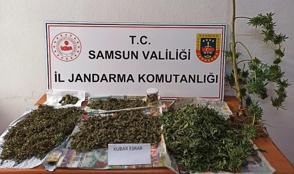 Samsun'da Jandarma 2 kilo 152 gram esrar ele geçirdi: 2 gözaltı