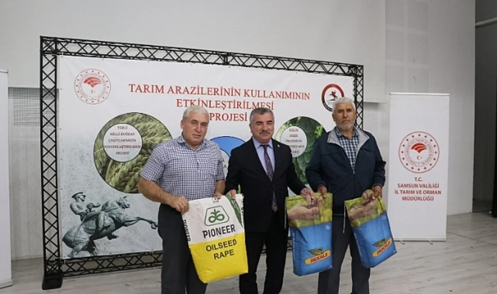 Samsun'da kanola üretimi artıyor