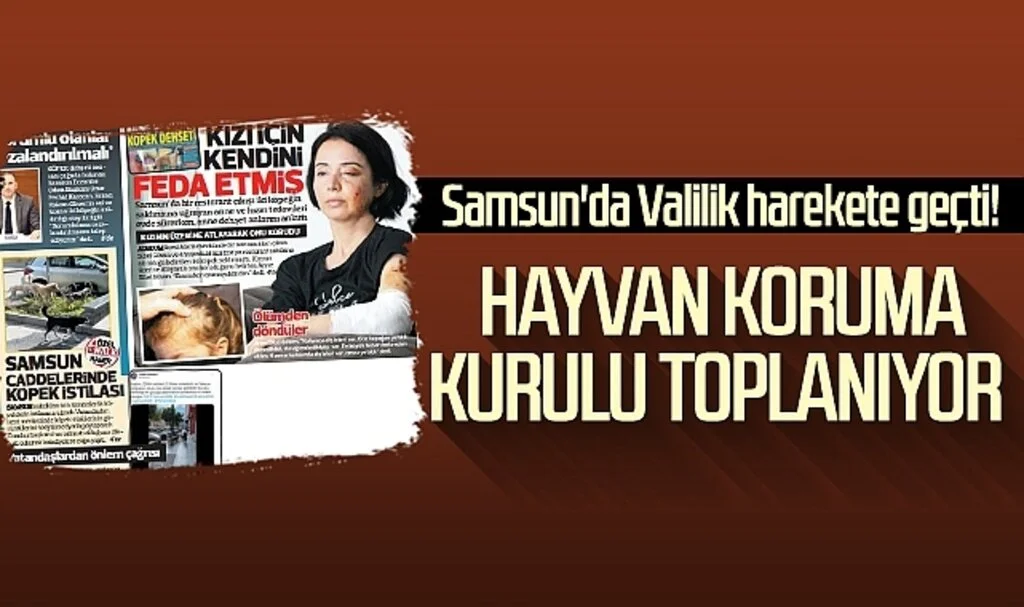 Samsun'da Valilik harekete geçti! Hayvan Koruma Kurulu toplanıyor 