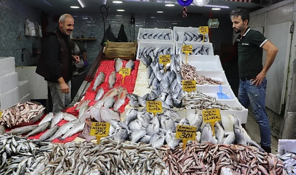 Samsun'da vatandaş palamut stokluyor