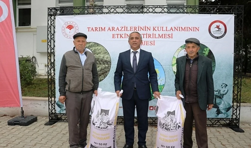 Samsun’da yerli ve milli buğday çeşitleri yaygınlaşıyor