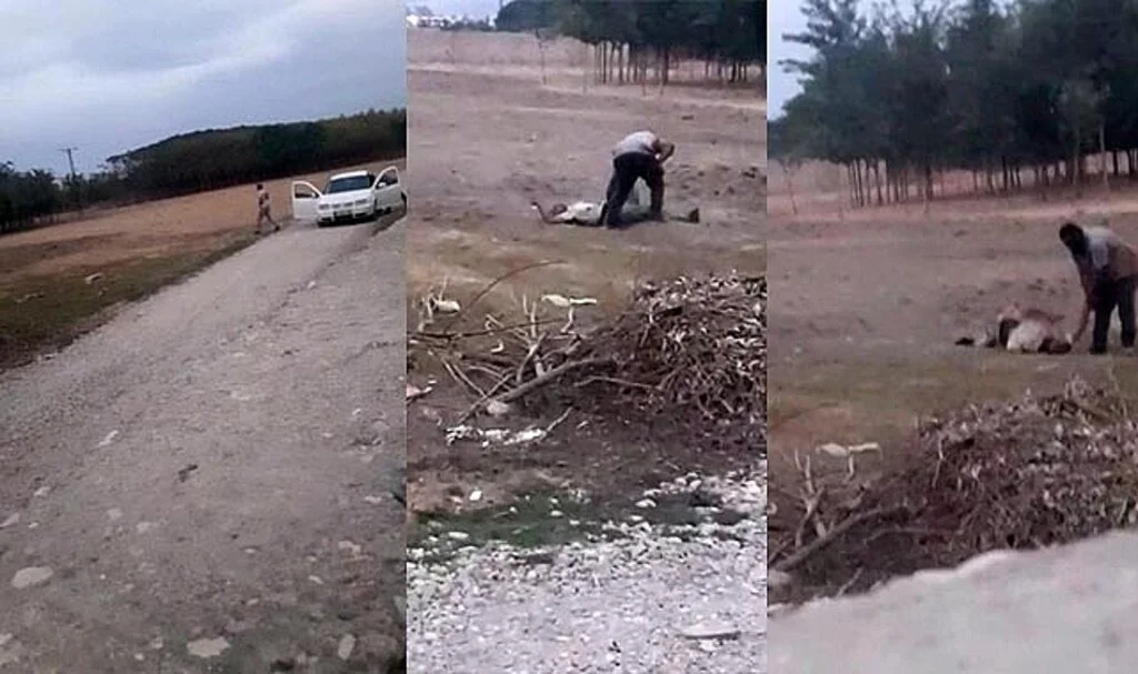 Şanlıurfa’da dehşete düşüren görüntü