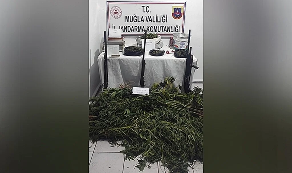 Seydikemer’de kenevir operasyonu