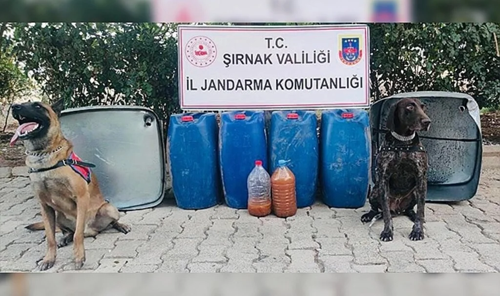 Şırnak’ta kaçakçılık ve asayiş operasyonu: 65 gözaltı