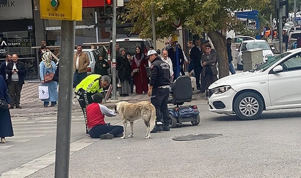 Sokak köpeği otomobilin çarptığı vatandaşın başından ayrılmadı