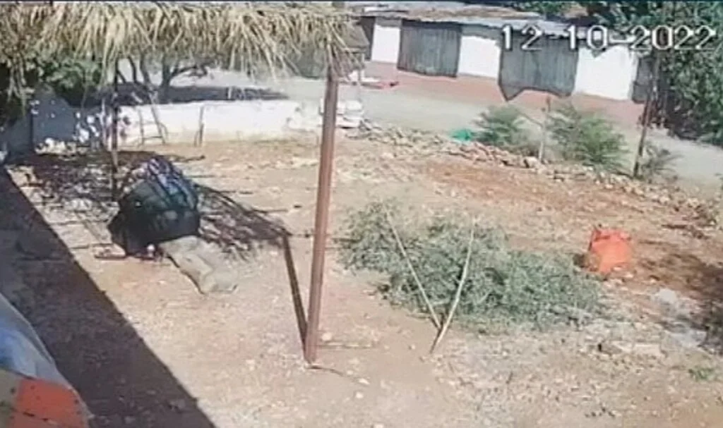 Sokak ortasında öldürülen yaşlı kadının ölmeden önce son görüntüleri ortaya çıktı
