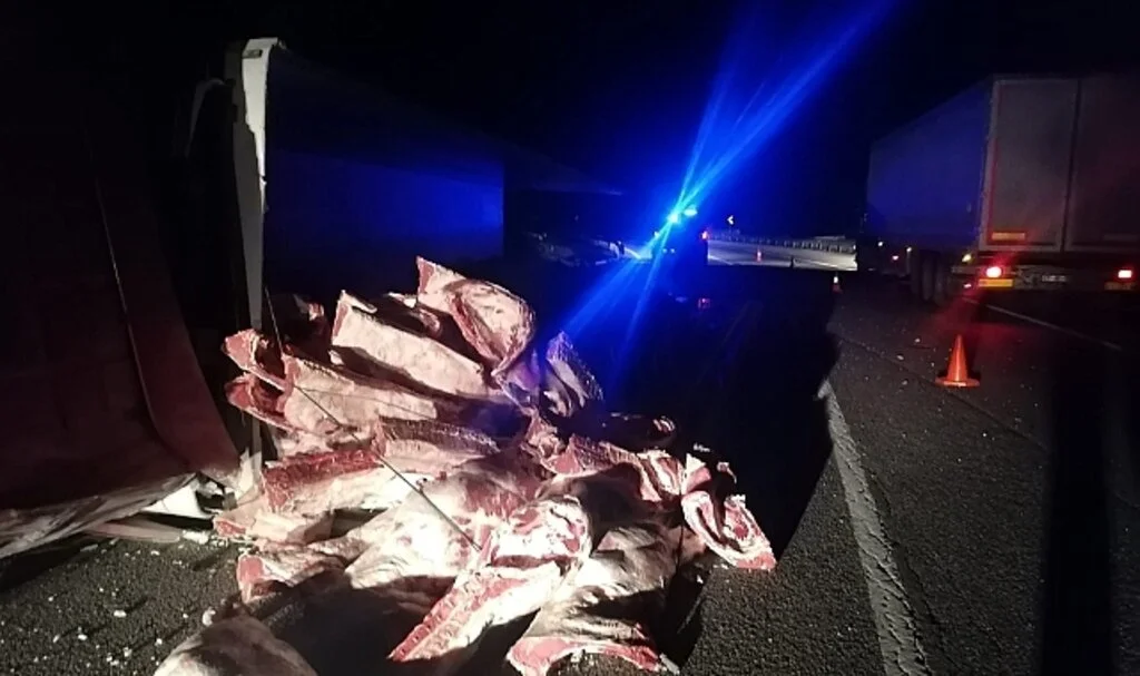 Tır devrildi, tonlarca karkas et yola saçıldı