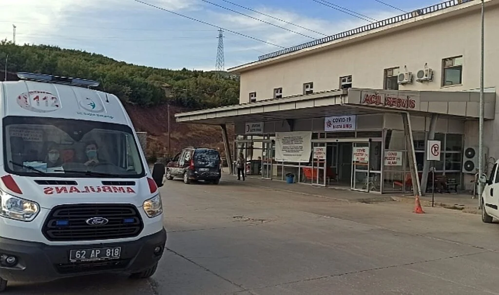 Tunceli’de arıların soktuğu adam hayatını kaybetti