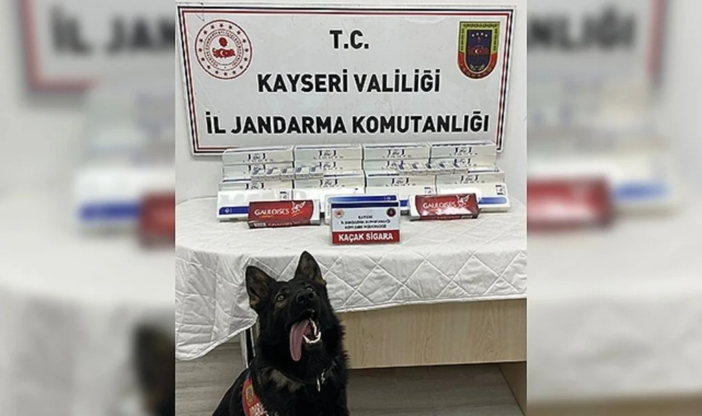 Tütün tespit köpeği 'Yolcu', sigara kaçakçılarını engelledi
