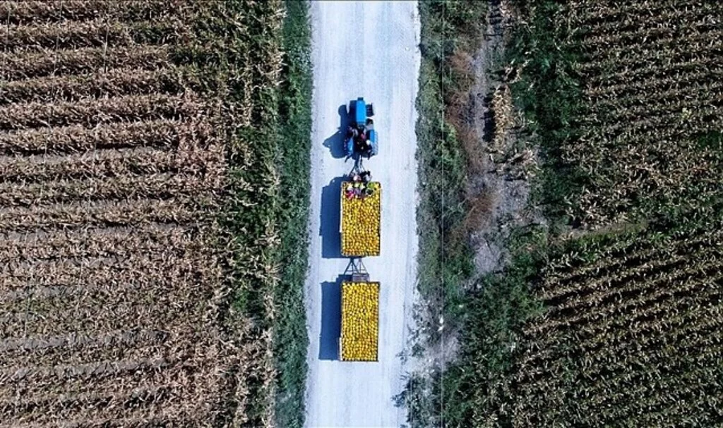 Yatırıma ve tarımsal üretime Hazine taşınmazı desteği