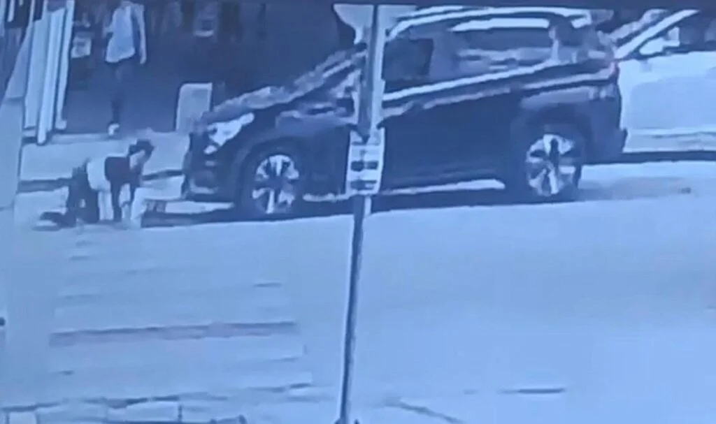 Yaya geçidini kullanan kadına cip çarptı