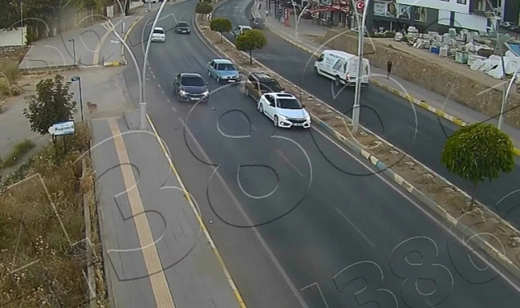 Yola çıkan köpek zincirleme kazaya neden oldu