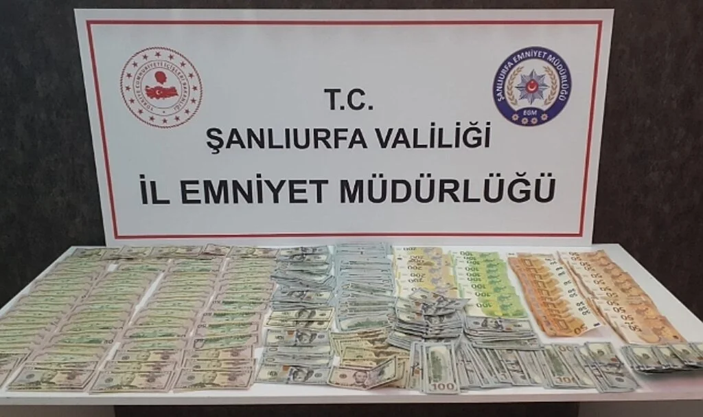 Yüklü miktarda dövizle yakalanan şahısların dolandırıcı olduğu ortaya çıktı