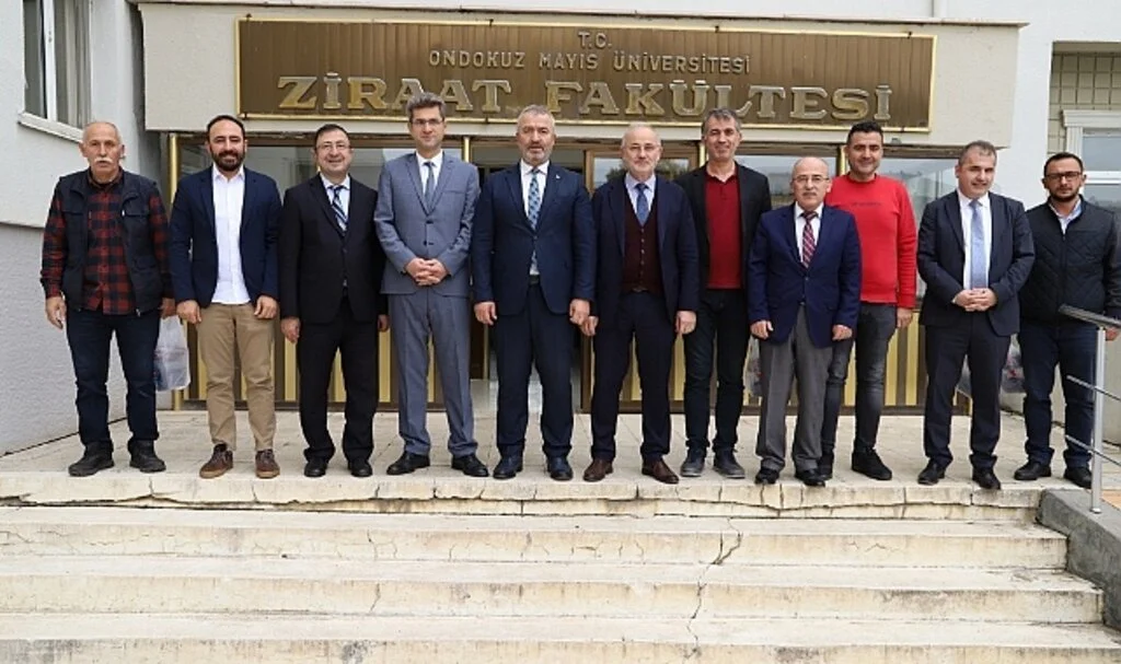 19 Mayıs’a 'kestane ormanı' kurulacak