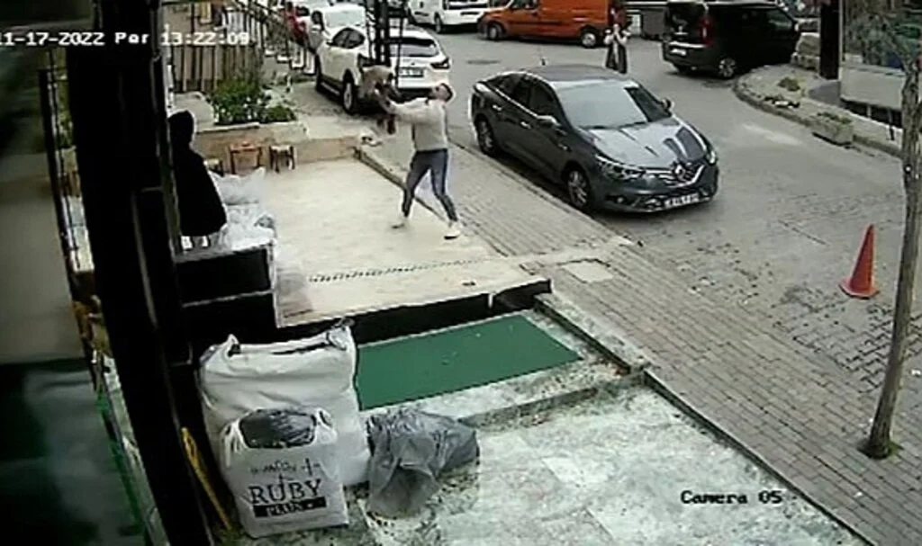 3'üncü kattan düşen kediyi havada yakaladı