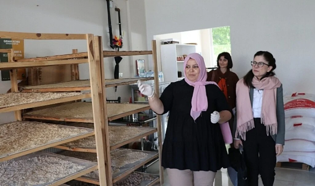 AB Yapısal Uyum Yönetim Otoritesi Daire Başkan Vekili Tekin'den Havza'ya ziyaret