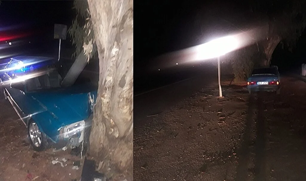 Ağaca çarpan otomobil sürücüsü ölümden döndü
