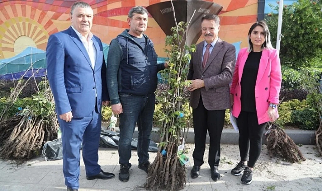 Atakum’da Üreticiye Ceviz Fidanı Desteği